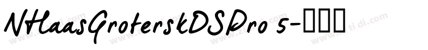 NHaasGroterskDSPro 5字体转换